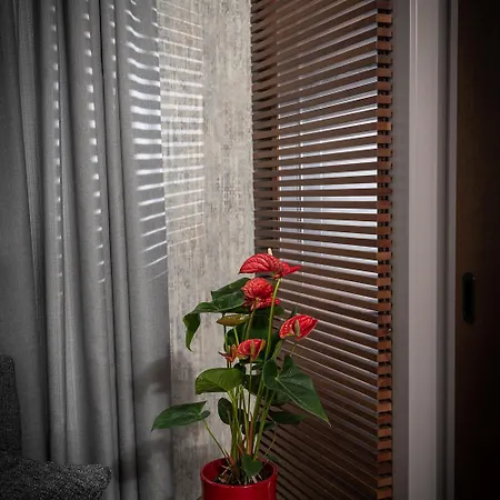 Hotell Lanterna Boutique *